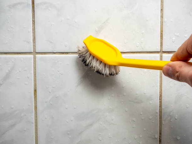 Best Residential Mold Removal  in Minot, ND