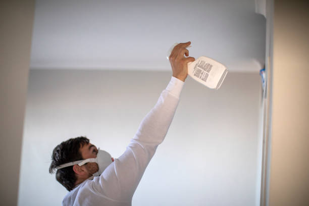 Best Attic Mold Removal  in Minot, ND