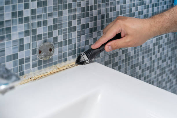 Best Black Mold Removal  in Minot, ND